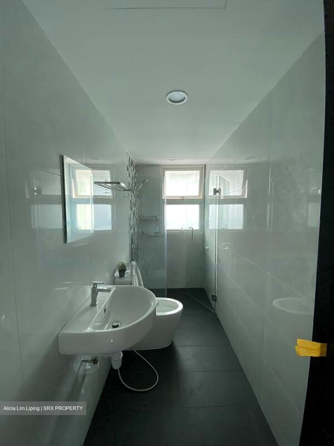 Crystal Dew (D14), Apartment #466364281